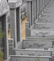 温州祖坟墓地出现这种现象，大事不妙，千万要注意了！