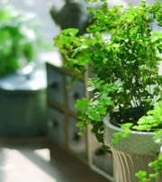 温州专属于你的开运指南，助你鸿运当头福满身！